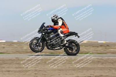 media/Feb-21-2025-Lets Ride (Fri) [[f483f33afd]]/A Group/1220pm (Wheelie BUmp)/